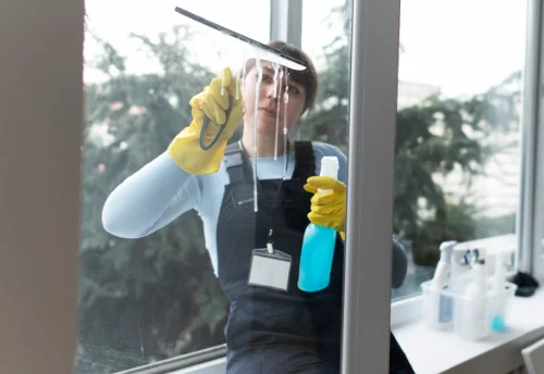 Nettoyage de vitres intérieures et extérieures à Saint-Sylvestre-Pragoulin